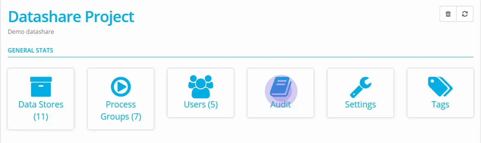 Datashare Project dashboard General Stats tiles with the Audit tile highlighted