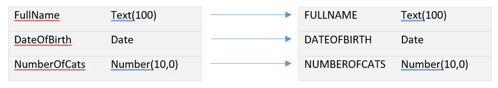 Source FullName, DateOfBirth, NumberOfCats each arrow straight across to destination FULLNAME, DATEOFBIRTH, NUMBEROFCATS with identical types