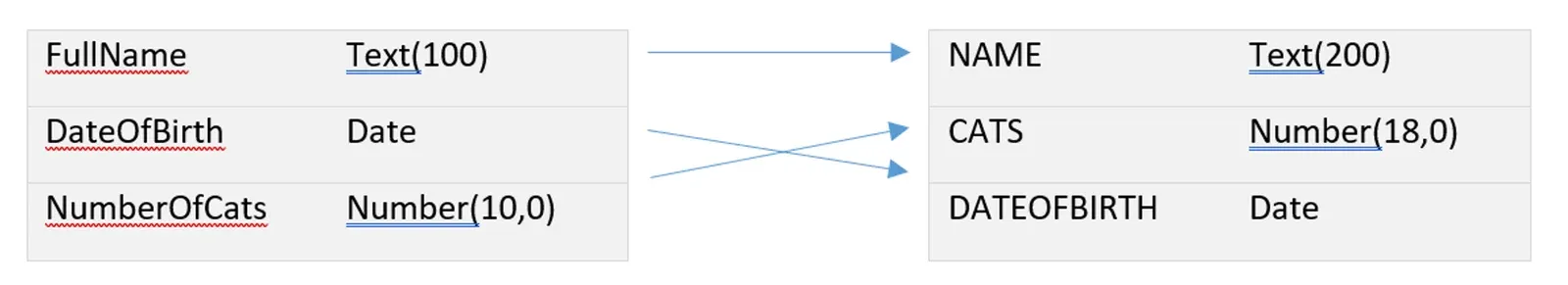 Arrows map FullName Text(100) to NAME Text(200), DateOfBirth Date to DATEOFBIRTH Date and NumberOfCats Number(10,0) to CATS Number(18,0), two arrows crossing