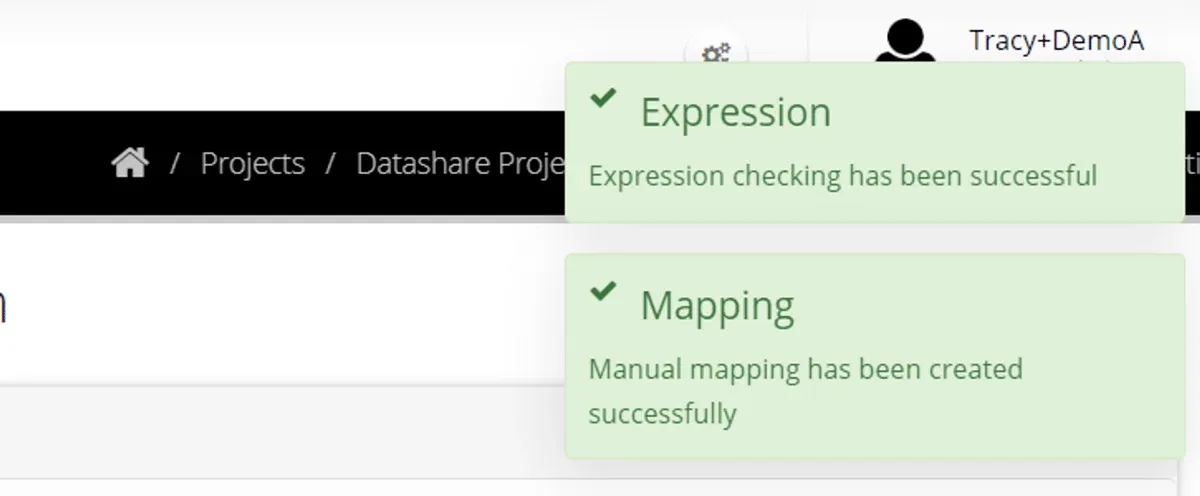 Success toasts reading Expression checking has been successful and Manual mapping has been created successfully