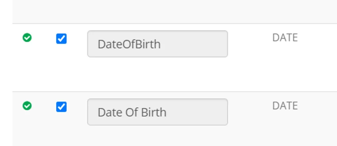 Datastore column list showing both DateOfBirth and Date Of Birth as checked DATE columns