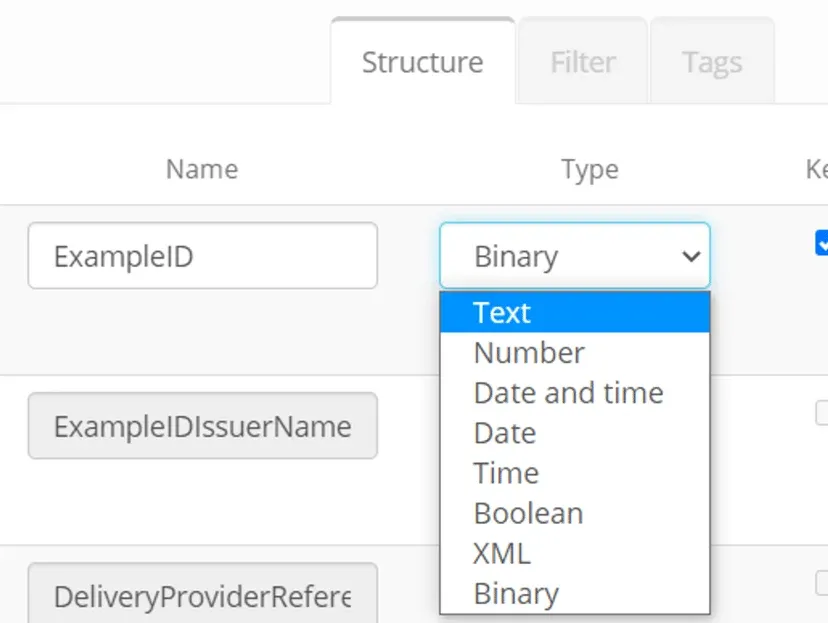 Datastore Structure tab with the Type dropdown open on the ExampleID column, Binary selected and Text highlighted