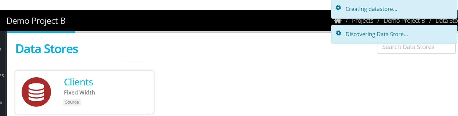Fixed Width Datastores (screenshot)